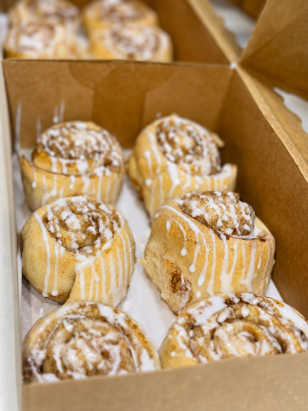 Cinnnamon Rolls (6)