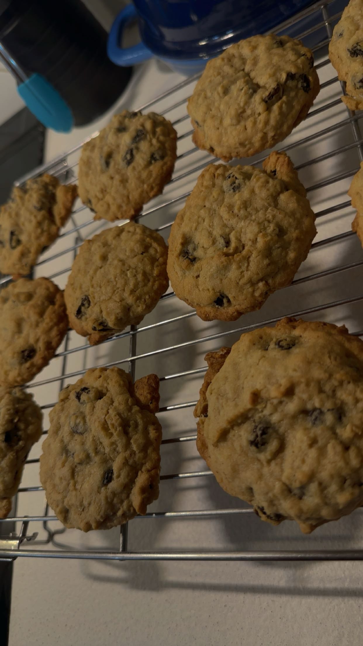 Assorted flavored Cookies (12)